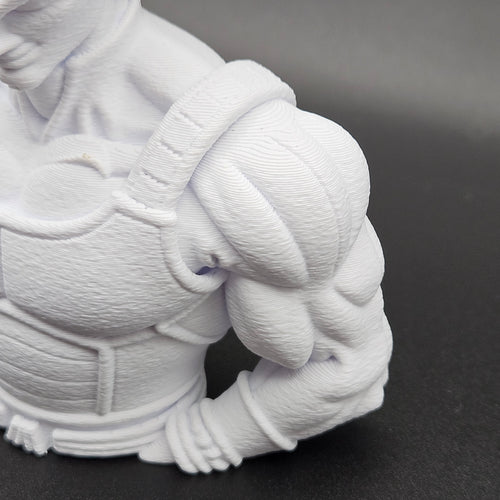 Busto di vegeta da collezione: l'orgoglio del principe saiyan