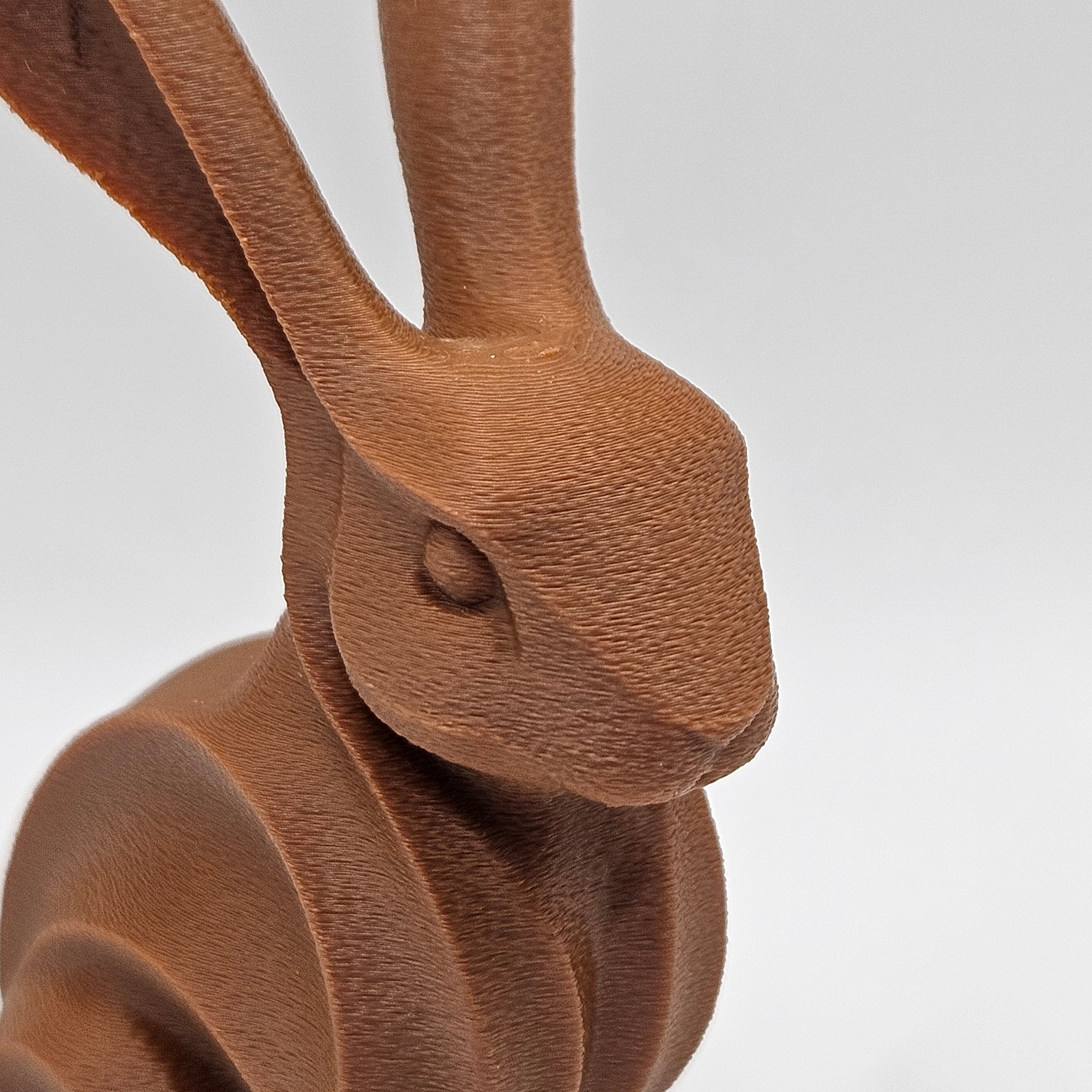 Choco Bunny