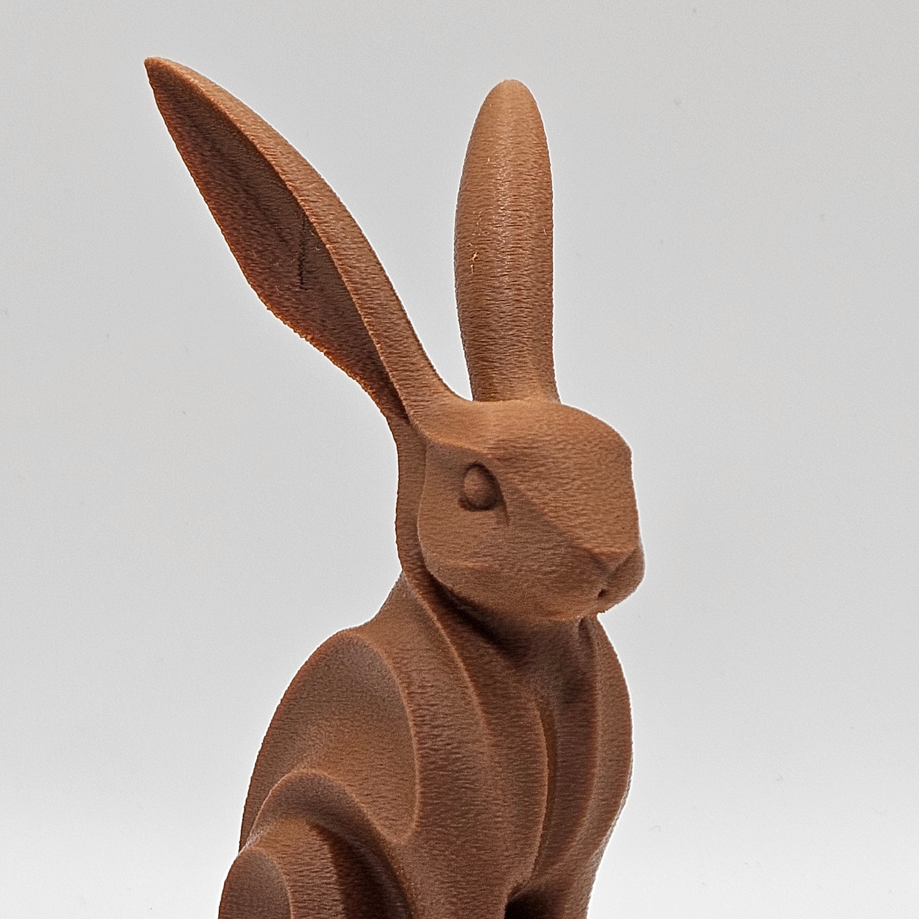 Choco Bunny