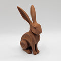 Choco Bunny