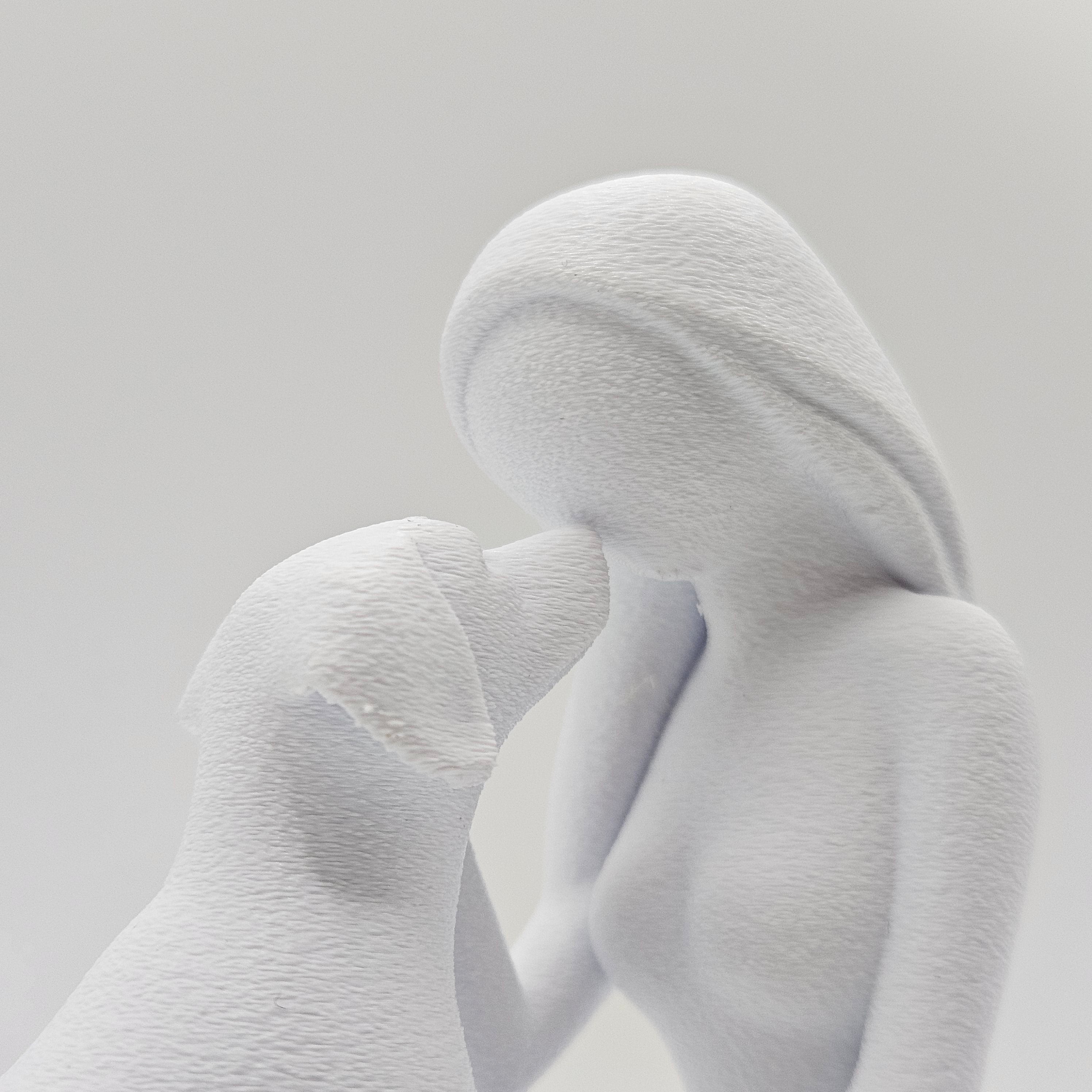 Bacio a Quattro Zampe